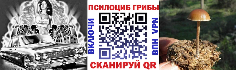 Галлюциногенные грибы Psilocybe  blacksprut зеркало  Новороссийск 