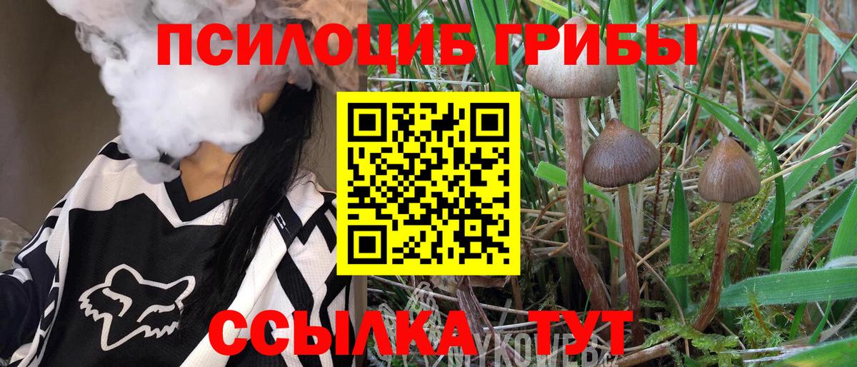 Новороссийск  Псилоцибиновые грибы мухоморы  Вход с VPN  Псилоцибиновые грибы GOLDEN TEACHER 
